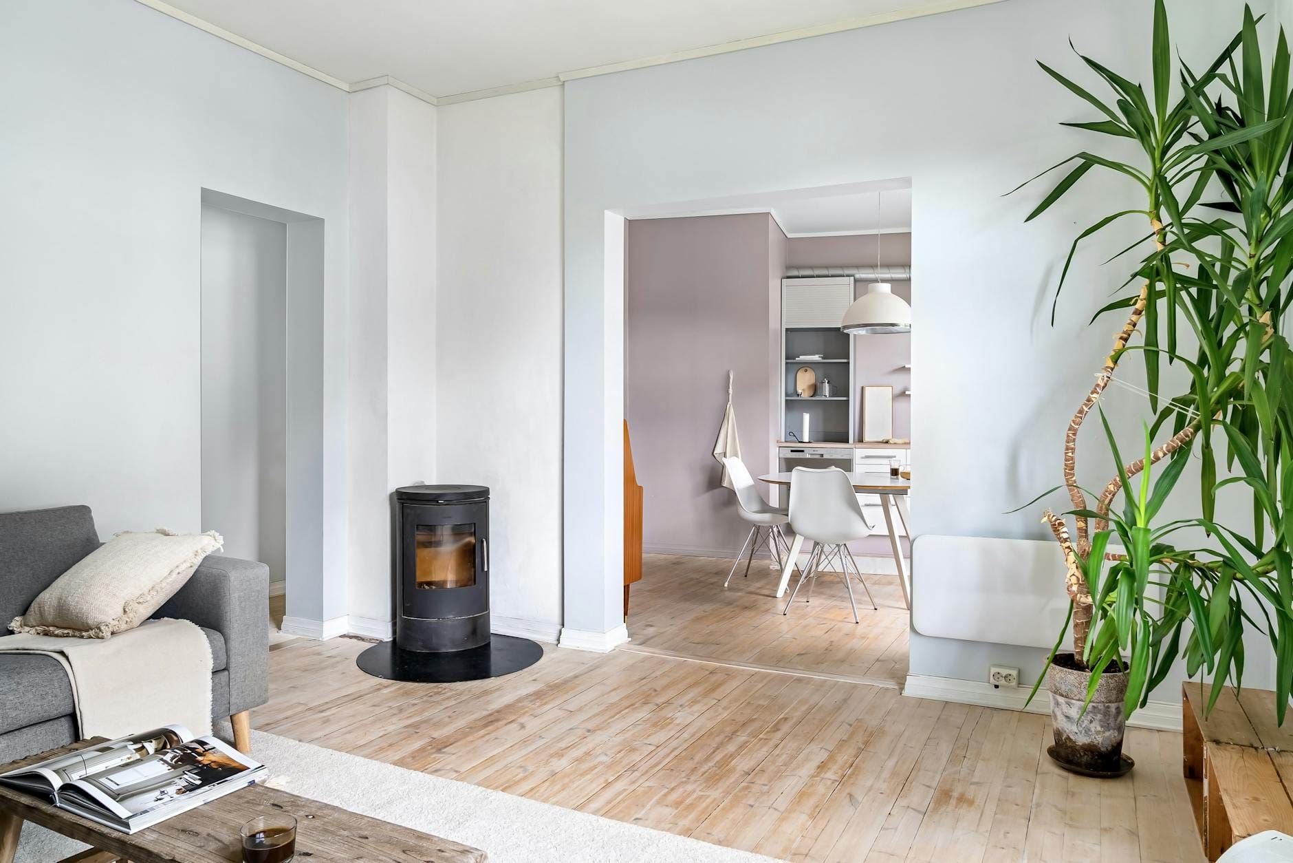 Nordic design w domu: przewodnik po najlepszych skandynawskich sklepach internetowych z wystrojem wnętrz Nowoczesny salon w stylu nordyckim z piecem na drewno i rośliną